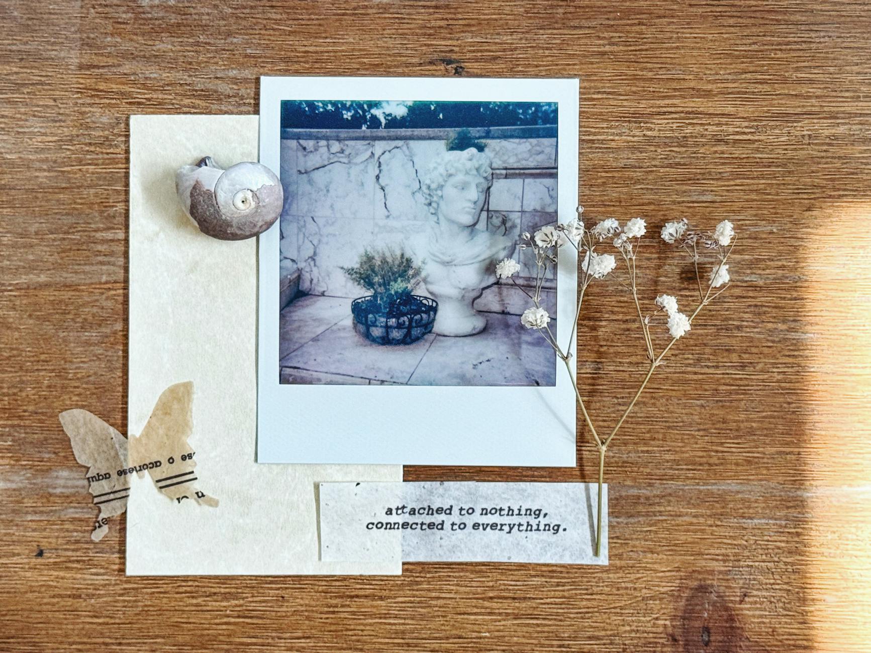 photograph a seashell a white flower and a message on a piece of paper